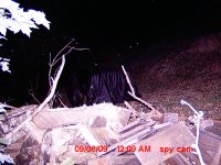 SPYCAM Bear0010.jpg