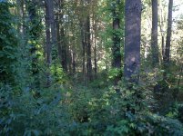 IMG_1096.jpg