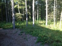IMG_1098.jpg