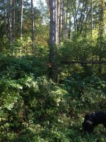 IMG_1094.jpg