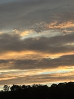 IMG_1333.jpeg