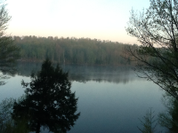image-1872486999.png