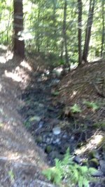 image-1890546031.jpg