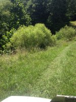 IMG_2407.jpg
