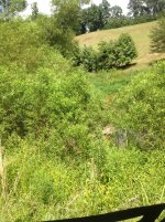 IMG_2409.jpg