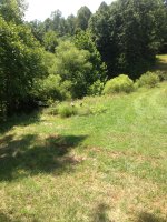 IMG_2408.jpg