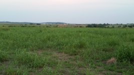 20140802_202658.jpg