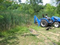 702502-cattails.jpg