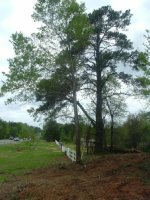 620766-Roads 029.jpg