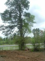620773-Roads 028.jpg