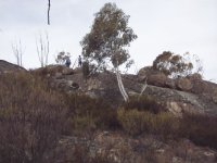 620830-MLNA0009s.jpg