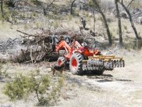621331-smaller version for TBN.jpg