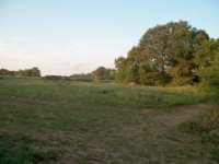 703334-0 site.jpg