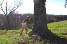 621663-cutting.jpg