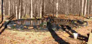 529369-pond 2004 with cover.JPG