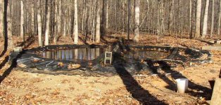 529370-pond 2004 with cover.JPG