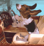 662398-a.gif