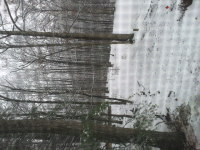 ForumRunner_20141126_125141.png