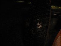IMG_3256.JPG