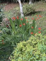 IMG_1842.jpeg