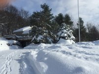 IMG_1940.jpg