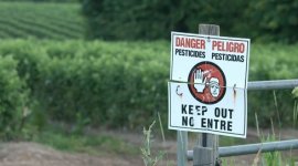 pesticide-sign_70025.jpg