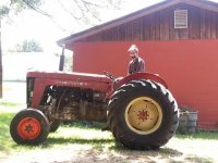 my massey 85.jpg