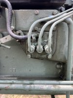 IMG_6485.jpeg