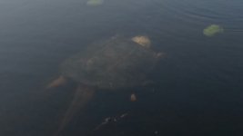 image-3740812844.jpg