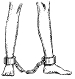 Shackle_(PSF).png
