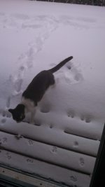 IMG_20131206_114735_776.jpg