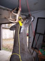 Jen's 2014 Rifle 003.jpg