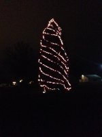 tree2photo.JPG