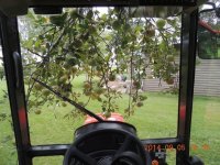 Inside looking out.jpg