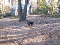 2-6-13 Molly & Tenbrooks play.jpg