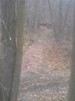 20141130_114650.jpg 20141130_114650.jpg
