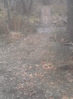 20141130_114259.jpg 20141130_114259.jpg
