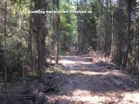 Mt. road 006.jpg