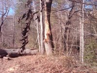 IMG-20141130-00272.jpg