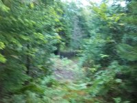 100_0603.JPG