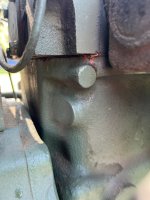 IMG_6575.jpeg