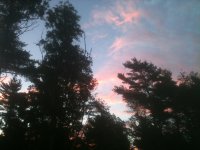 image-2913710821.jpg