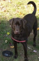 Max 10-19-14  2.jpg