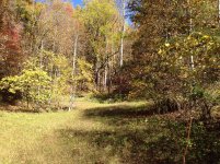 IMG_2996.jpg