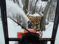 Winter Wood.jpg