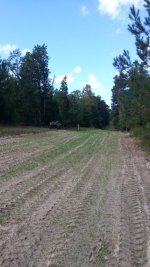 20141004_120925.jpg