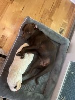 IMG_1853.jpeg