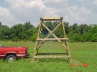 treestand007.jpg
