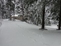 snow.jpg snow.jpg