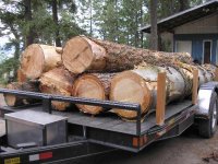 Load of logs 004.jpg Load of logs 004.jpg
